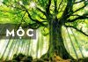 Tên Mệnh Mộc, Hướng Dẫn Cách Đặt Tên Con Theo Mệnh Mộc Tên Mệnh Mộc