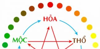 Mệnh Hỏa Hợp Mệnh Gì? Khắc Mệnh Gì? Mệnh Hỏa Hợp Mệnh Gì? Khắc Mệnh Gì?