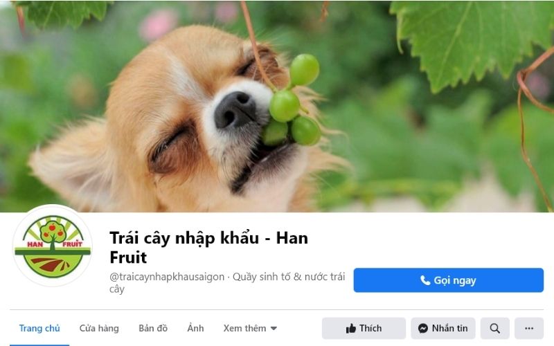 Cửa hàng trái cây nhập khẩu Han Fruit