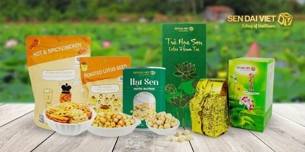 Sen Đại Việt – Địa chỉ bán hạt sen tươi tại TPHCM uy tín 