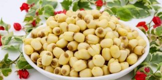 Top 7 Địa Chỉ Mua Hạt Sen Khô Chất Lượng Giá Tốt Tại Tphcm Top 7 địa chỉ mua hạt sen khô chất lượng giá tốt tại tphcm