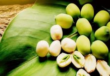 Hạt Sen Có Tác Dụng Thế Nào Cho Sức Khỏe? Điều Bạn Chưa Biết? Hạt sen có tác dụng thế nào cho sức khỏe - điều bạn chưa biết