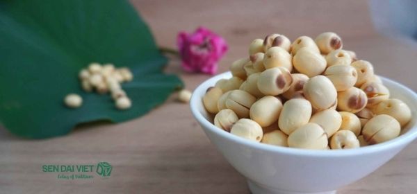 Mua hạt sen tươi chất lượng – giá tốt tại Sen Đại Việt 