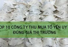 Top 10 Công Ty Thu Mua Tổ Yến Uy Tín Và Đúng Giá Top 10 Công Ty Thu Mua Tổ Yến Uy Tín Và Đúng Giá